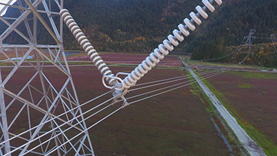 Overhead view of power line